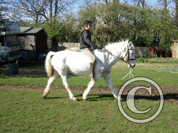 Bareback clinic (20)