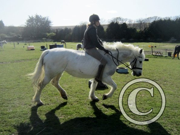 Bareback clinic (21)