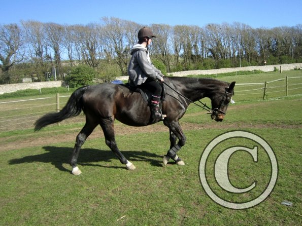 Bareback clinic (23)