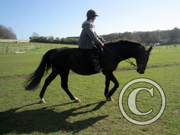 Bareback clinic (24)