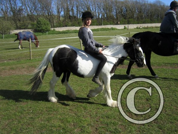 Bareback clinic (25)