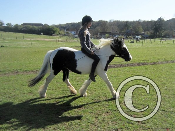 Bareback clinic (26)