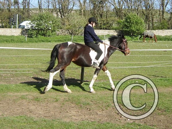 Bareback clinic (28)