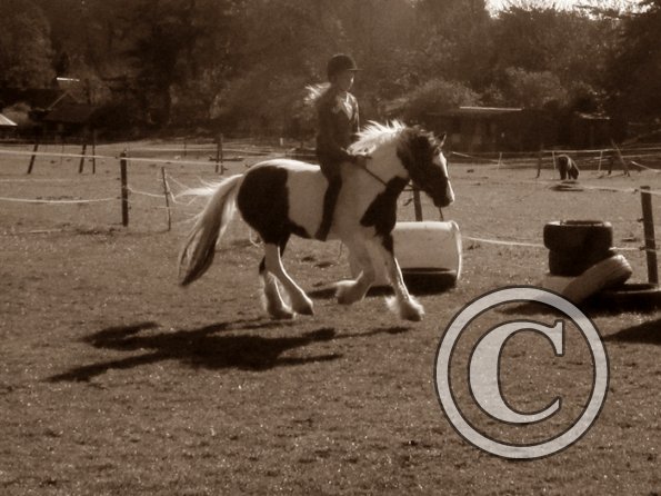 Bareback clinic (29)