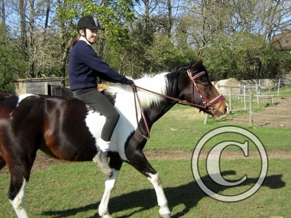 Bareback clinic (30)