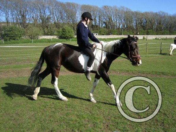 Bareback clinic (31)