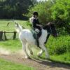 dressage-clinic-april-