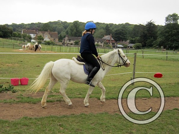 Dressage clinic (10)