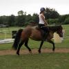 Dressage clinic (100)