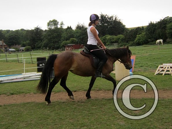 Dressage clinic (100)