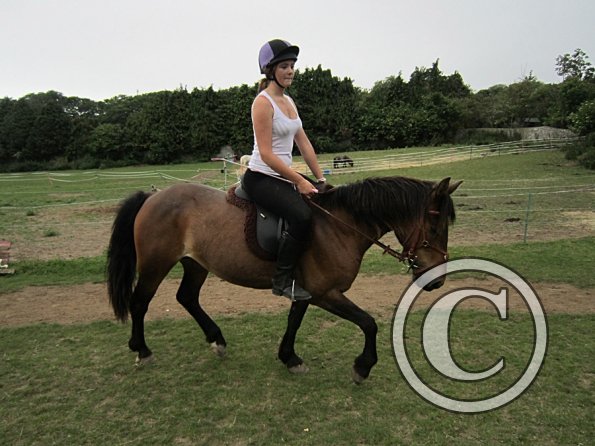 Dressage clinic (102)