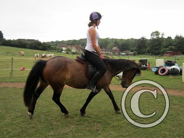 Dressage clinic (103)