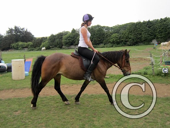 Dressage clinic (105)