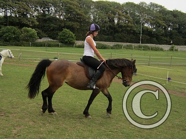 Dressage clinic (109)