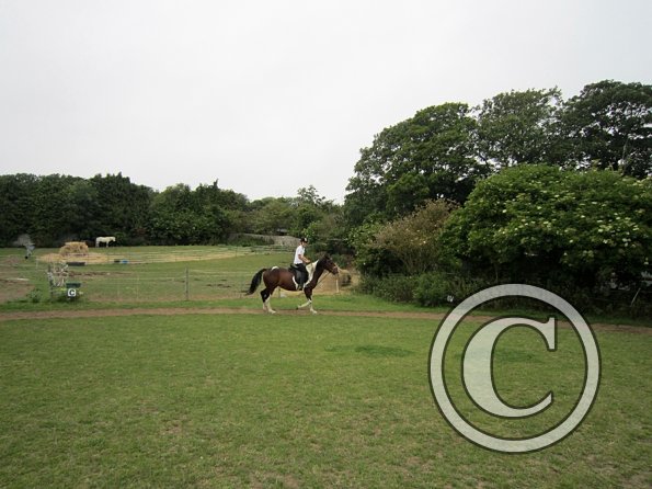 Dressage clinic (11)