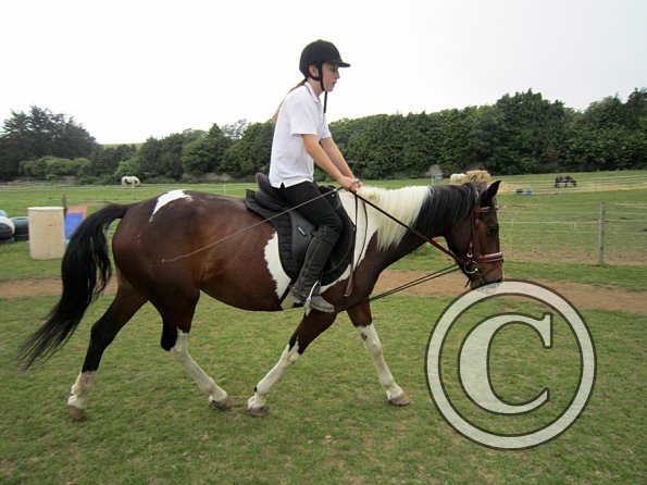 Dressage clinic (111)