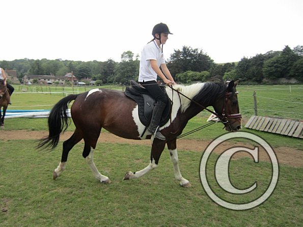 Dressage clinic (112)