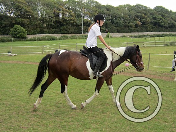 Dressage clinic (114)