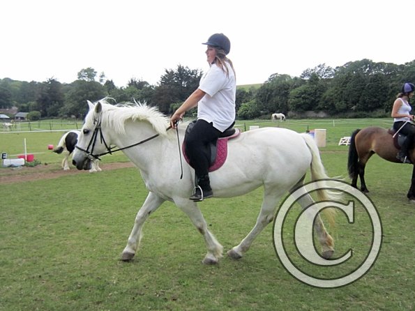 Dressage clinic (116)