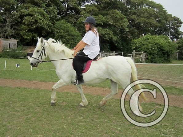 Dressage clinic (122)