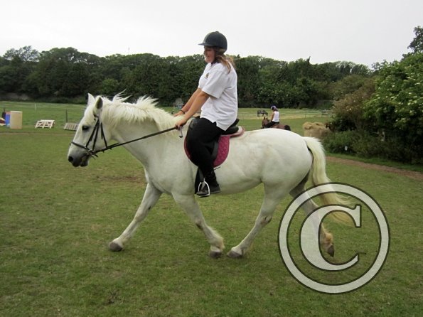 Dressage clinic (123)