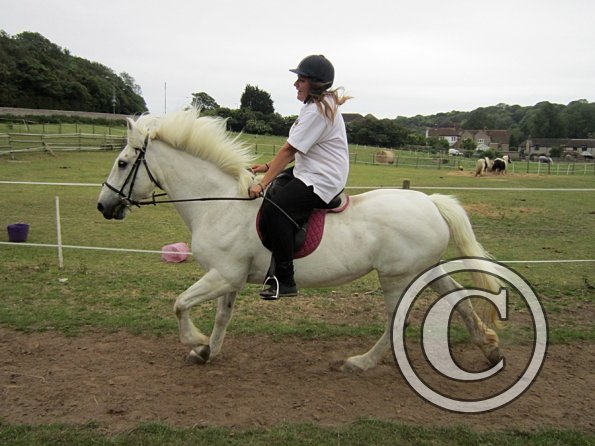 Dressage clinic (129)
