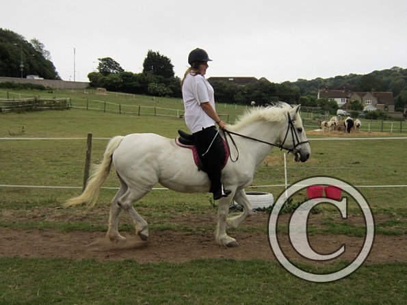 Dressage clinic (13)