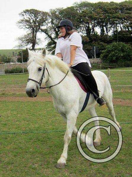 Dressage clinic (138)