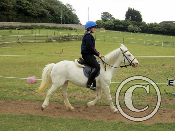 Dressage clinic (14)