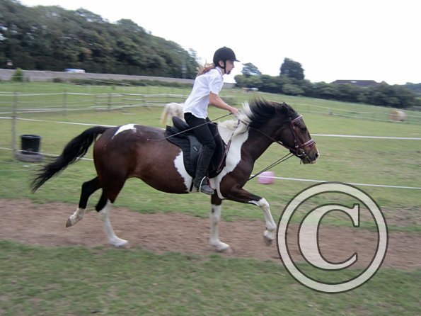 Dressage clinic (140)