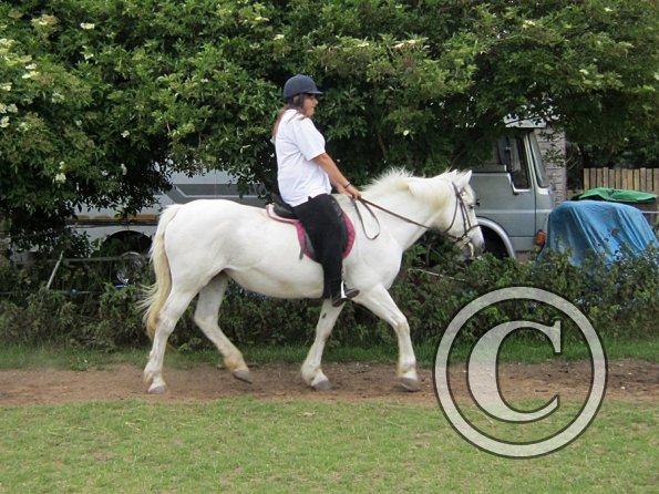 Dressage clinic (17)
