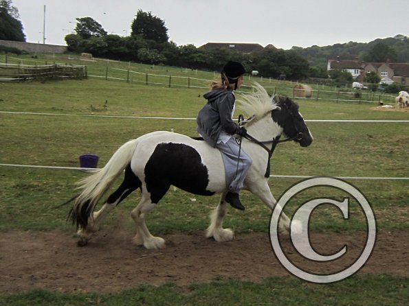 Dressage clinic (18)