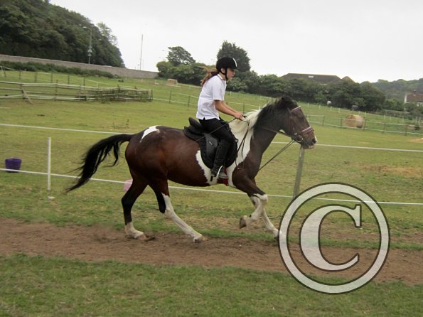 Dressage clinic (19)