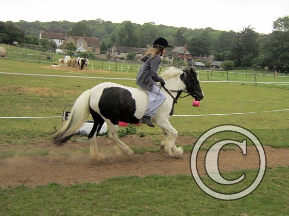 Dressage clinic (24)