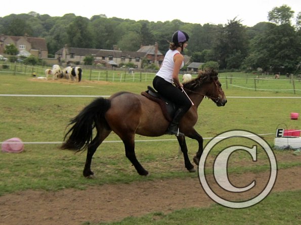 Dressage clinic (25)