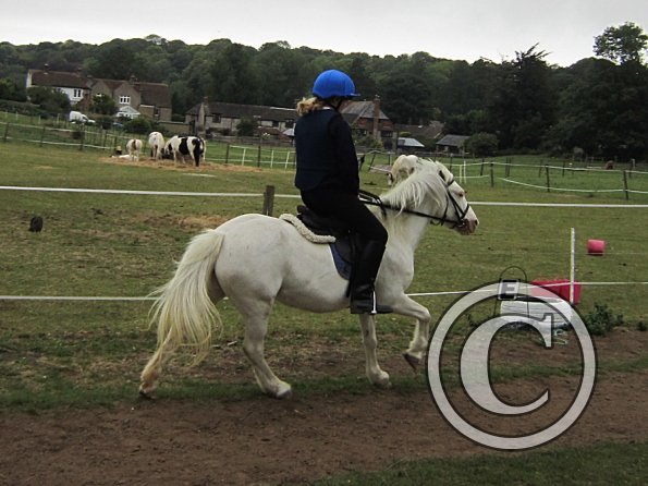 Dressage clinic (27)