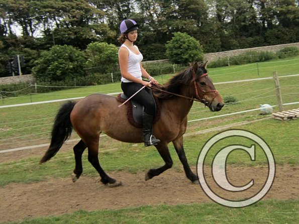 Dressage clinic (30)