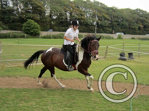 Dressage clinic (34)