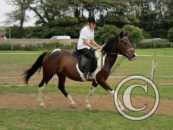 Dressage clinic (35)