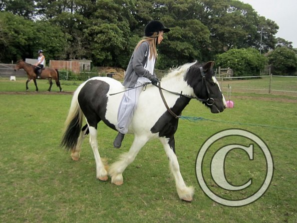 Dressage clinic (46)