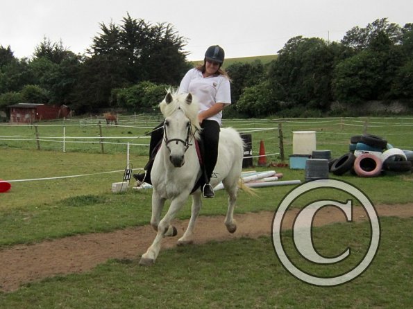 Dressage clinic (47)