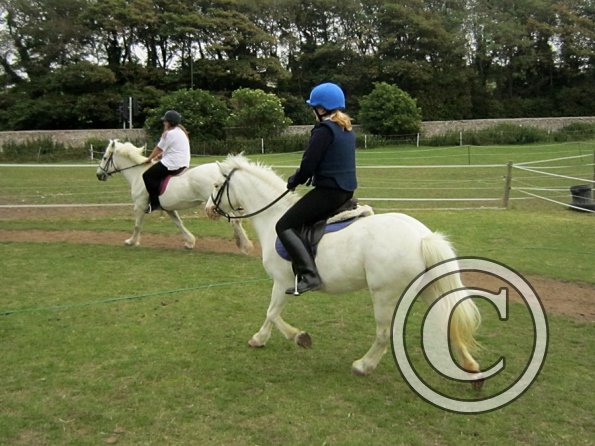 Dressage clinic (49)