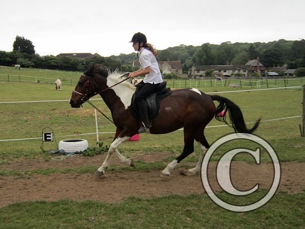 Dressage clinic (50)