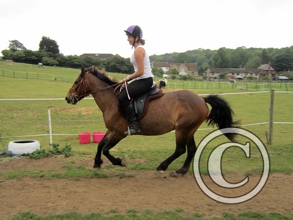 Dressage clinic (52)