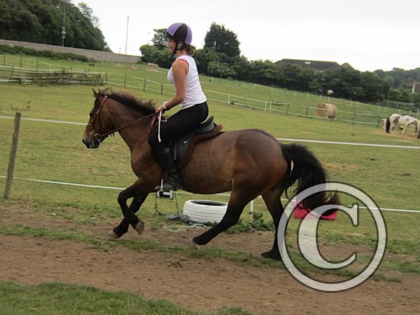 Dressage clinic (53)