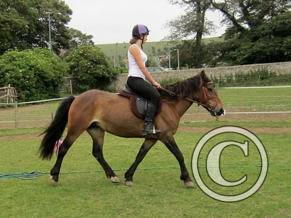 Dressage clinic (54)