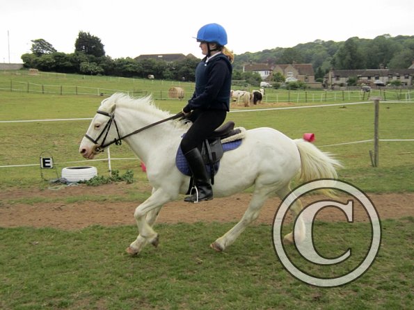 Dressage clinic (55)