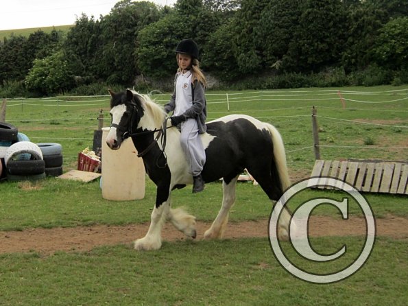 Dressage clinic (62)