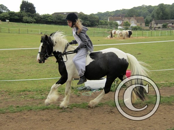 Dressage clinic (64)