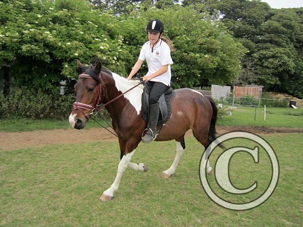 Dressage clinic (73)